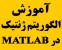 آموزش الگوریتم ژنتیک (فقط در دو جلسه)