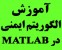 آموزش الگوریتم ایمنی (فقط در دو جلسه)