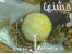 طرز تهیه گوی نباتی برای سفره عقد
