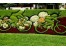 پیمانکاری خدمات نظافتی و فضای سبز در اصفهان