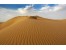 استخدام در مشاغل مختلف