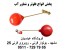 پخش انواع فلوتر و شناور آب در خراسان