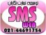 نرم افزار ارسال sms با پشتیبانی دائمی