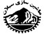 اعطای نمایندگی