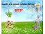 نرم افزار صندوق قرض الحسنه نوین(بانکداری الکترونیک)