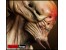 آموزش جامع ZBrush R6