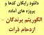 دانلود رایگان کدها و پروژه های آماده الگوریتم پرندگان (ازدحام ذرات)