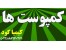 کمپوست