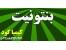 بنتونیت