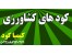 کود دامی و کمپوست