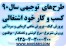 نمونه طرح توجیهی پرورش و بسته بندی کبک بوقلمون شترمرغ مرغ گوشتی و تخم گذار