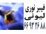 فیبر نوری لیونی|| 66932635