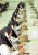 مرکز خدمات غیر حضوری تلفن همراه9092301230