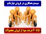 بهترین سیستم همکاری در فروش نیازشاپ با سایت فروشگاهی رایگان