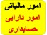 ارائه خدمات امور مالیاتی و دارایی