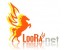 بزرگترین فروشگاه مجازی www.loora.net
