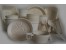 خط تولید ظروف یکبار مصرف گیاهی