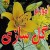 آموزش گل سازی