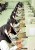 مرکز خدمات غیر حضوری تلفن همراه 9092301230