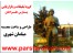 حجم های هنری و مجسمه فایبر گلاس