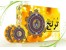 خرید ترنج