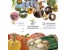 تهیه طرح توجیهی پرورش بلدرچین