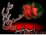 خدماتی زیارتی