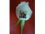 هدایایی بسیار زیباوماندگار
