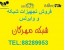 فروش تجهیزات شبکه (ایده پردازان شبکه مهرگان)