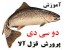 راهنمای آموزش پرورش ماهی قزل آلا