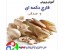 طرح توجیهی زراعت کوچک +پرورش قارچ