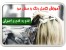 آموزش تصویری رنگ و مش با فویل