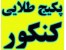 پکیج طلایی کنکور 91