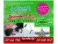 پکیج ویژه روز عشق