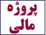 دانلود پروژه مالی