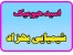 اسید هیومیک