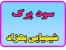 سود جامد پرک، Caustic Soda، سود سوز آور