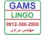 آموزش نرم افزار لینگو و گمز GAMS-LINGO