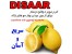موبر دوقلو disaar دائمی / فروش اینترنتی