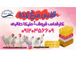 Image قفس حمل طیور فروش سبد حمل مرغ زنده با قیمت ویژه