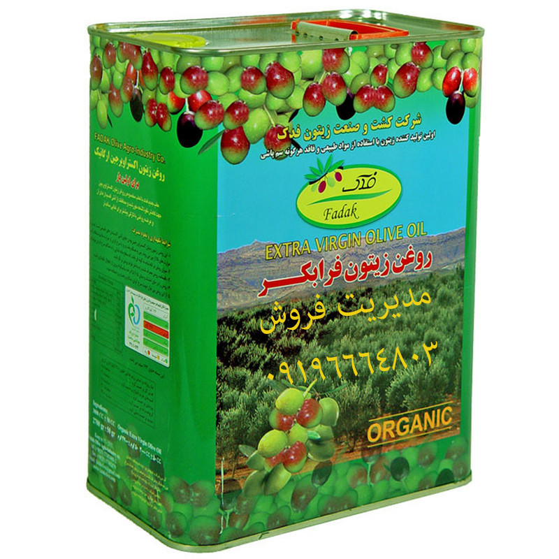 مینوشا 